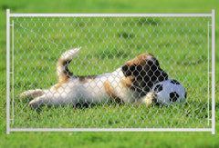 Adjustable Chain Link Walk Gate Kit with Round Corner Frame, Fit-Right, 3.8'H
