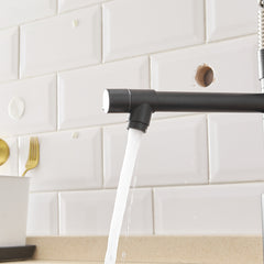 Commercial Kitchen Faucet with Pull Down Sprayer, Single Handle Single Lever Kitchen Sink Faucet