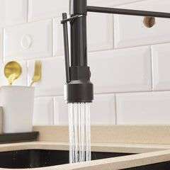 Commercial Kitchen Faucet with Pull Down Sprayer, Single Handle Single Lever Kitchen Sink Faucet