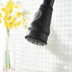 Commercial Black Kitchen Faucet with Pull out Sprayer, Single Handle Single Lever Kitchen Sink Faucet