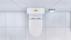 Elongated One Piece Toilet White