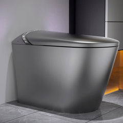 Starry Night Light Smart Toilet with Bidet Built In, Modern Design For Bathroom, Auto Open/Close Seat, Foot Sensor, LED Display,Night Light, Warm Water & Dryer,Matte Grey