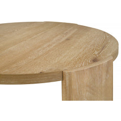 21 Inch Kepler Driftwood Finish Round Wood End Table, Modern Living Room 1Pc Sofa Side Table
