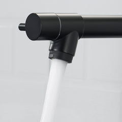 Commercial Black Kitchen Faucet with Pull Down Sprayer, Single Handle Single Lever Kitchen Sink Faucet