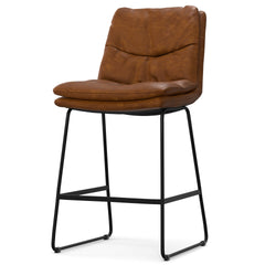 Danika Counter Height stool (Set of 2)