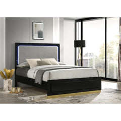 Sophia Black Wood Queen LED Panel Bed