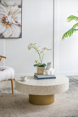 35x35x16" Unique Cream Capiz Coffee Table with Gold Pedestal Base