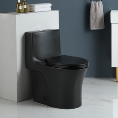 1.1/1.60 GPF Dual-Flush One Piece Toilet, Water-Saving Elongated Comfort Height Floor Mounted, Soft Closing Seat, 1000 Gram Map Flushing Score Toilet, Matte Black CM-24T02-MB