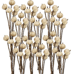 Set of 12, 23.5" 5Pcs/Bunch Pumpkin Pod Twig Stem