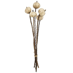 Set of 12, 23.5" 5Pcs/Bunch Pumpkin Pod Twig Stem