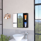 2-Shelf Medicine Cabinet with Mirror Wenge
