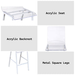 Nadie Clear Acrylic & Chrome Finish Counter Height Chair (Set of 2)