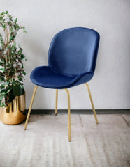 Chuchip Blue Velvet & Gold Finish Side Chair(Set of 2)