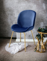 Chuchip Blue Velvet & Gold Finish Side Chair(Set of 2)
