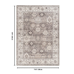 Majestic GC_RYL1008 Brown 7 ft. 10 in. x 10 ft. 6 in. Area Rug