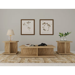 Metron Mango 3-piece Coffee and End Table Set
