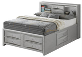 Contemporary Silver Champagne King Storage Bed