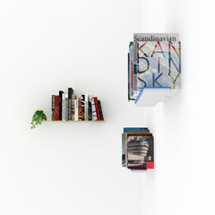 Air Wall Shelf