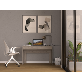 Computer Desk with Two Drawers Writing , Light Gray