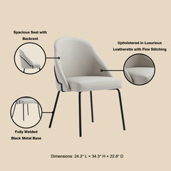 Dining Chair in Stone Gray and Black