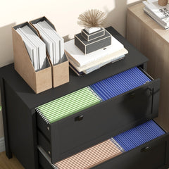 File Cabinet,2 Drawer Filing Cabinet with Adjustable Hanging Bar,For Home and Office