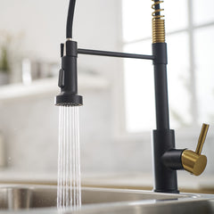 Commercial Black and Nickel Gold Kitchen Faucet with Pull Out Sprayer, Single Handle Single Lever Kitchen Sink Faucet