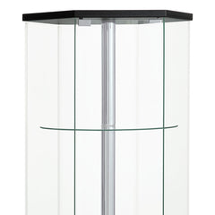Tenley Black and Chrome Glass 4-shelf Curio Cabinet