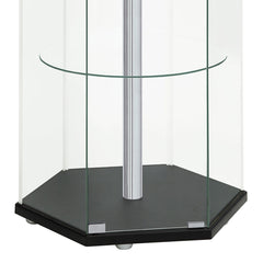 Tenley Black and Chrome Glass 4-shelf Curio Cabinet