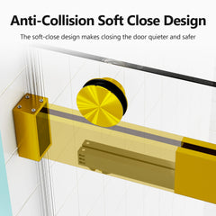 56-60 inches W *76 inches H Frameless Double Sliding Soft-Close Shower Door in Brushed Gold,3/8 inches (10mm) Thick SGCC Tempered Glass Door