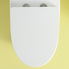 Soft-close Toilet Seat Only, 23T01-GWP01