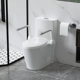 UPGRADED DESIGN Armrest, With 1.1/1.6 GPF Tornado Flush One-Piece Toilet, Siphonic S-trap 12", Soft Close Seat,Dual Flush MAP 1000g,Comfort Chair Seat ADA Height 17",Glossy White GW-007