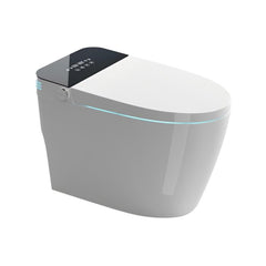 Tankless Smart Toilet With Bidet Built In, One-piece Bidet Toilet Seat, Auto Flush,Heated Seat, Warm Water and Dry, Adjustable Temp,Remote Control Side Know