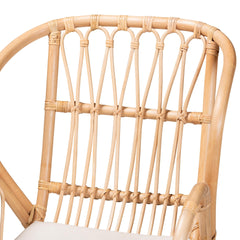 Modern Bohemian Natural Brown Rattan and Black Metal Chair