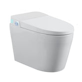 Tankless Smart Toilet With Bidet Built In, One-piece Bidet Toilet Seat, Auto Flush,Heated Seat, Warm Water and Dry, Adjustable Temp,Remote Control Side Know