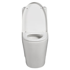 One-Piece Toilet, 1.1/1.60 GPF Water-Efficient Dual-Flush Elongated Comfort Height Floor Mounted, ADA Compliant Toilet with Soft Closing Seat Included