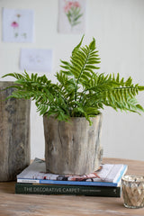 Set of 2 6.5x6.5x6.5" Fillmore Planter,Small Round