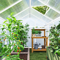 Outsunny 10' L x 6' W Walk-In Polycarbonate Greenhouse with Roof Vent for Ventilation & Rain Gutter for Winter