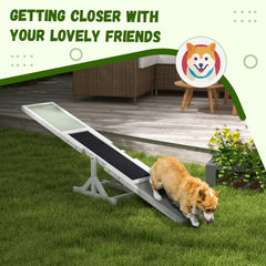 PawHut Wooden Dog Agility Seesaw for Training and Exercise, White