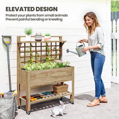 Outsunny 41" Raised Garden Bed Mobile Elevated Wooden Planter Box Stand with Wheels, Trellis and Storage Shelf, Dark Brown