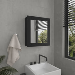 Luma Medicine Cabinet with Mirror Door 20.5" High Cabinet Organizer with Two interior Shelves for Bathroom, Kitchen, Mudroom