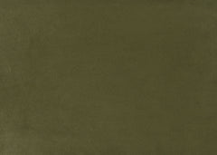Olive Green Velvet Upholstered 1pc Eastern King Size Bed Curved Design Headboard Storage FB Bedroom Furniture Bedframe