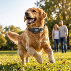 PawHut GPS Dog Training Collar IP67 Waterproof E Collar Remote Rechargeable Black