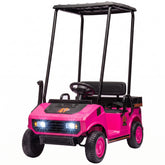 Qaba 24V Kids Golf Cart 2WD 2-Seater with Remote, Soft Start, Rear Suspension, Sunshade, Storage, Gift for 3-6 Years, Pink