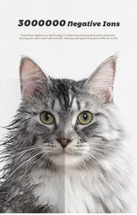 Pet Dryer Room for Cats & Dogs, Cream White