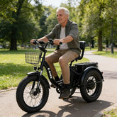 Folding Electric Tricycle