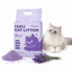 A bag of Paultizen Tofu Cat Litter in lavender scent stands next to a fluffy gray cat on a white background, with a small pile of purple cat litter and lavender stems in front.