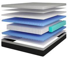 Verbena 12" Hybrid Pocket Coil Mattress