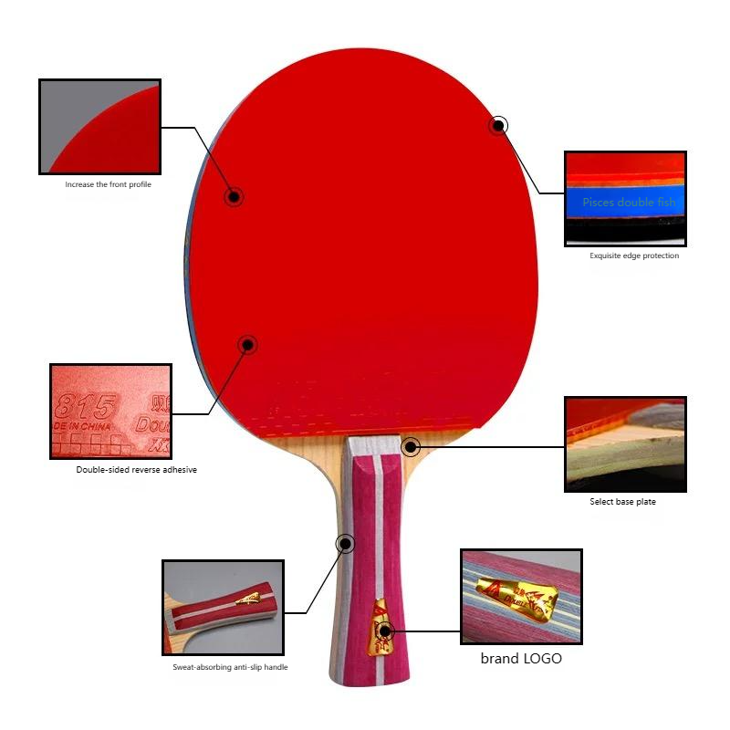 DOUBLE FISH Table Tennis Racket Set, With One Racket Two Balls Suitable For Beginner Training
