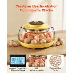 18 Egg Incubator, Automatic Egg Turner with LED Candler, Temperature & Humidity Control, 360° View Clear Window, Auto Water Refill, Poultry Eggs Incubators for Hatching Chicks Ducks Goose Quail
