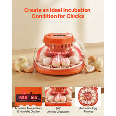 12 Egg Incubator, Automatic Egg Turner with LED Candler, Temperature & Humidity Control, 360° View Clear Window, Poultry Eggs Incubator for Home Farm, Hatching Chicks Ducks Goose Quail